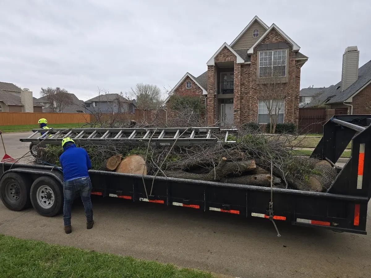 Expert Tree Fertilization with proper safety equipment in Outlook